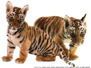 babies.jpg (106550 bytes)