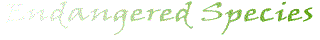 title.gif (4554 bytes)